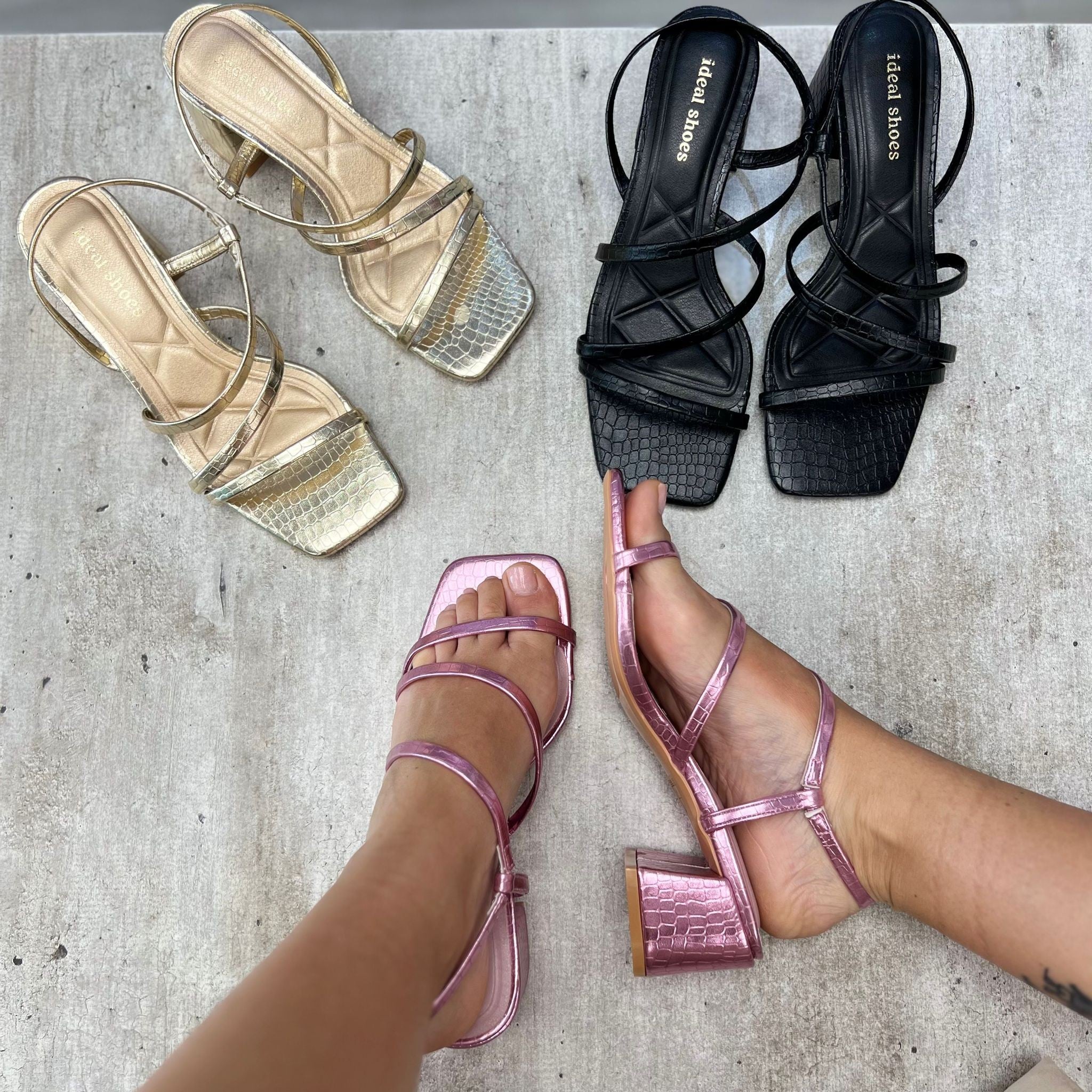 SANDALO GINEVRA VIOLA