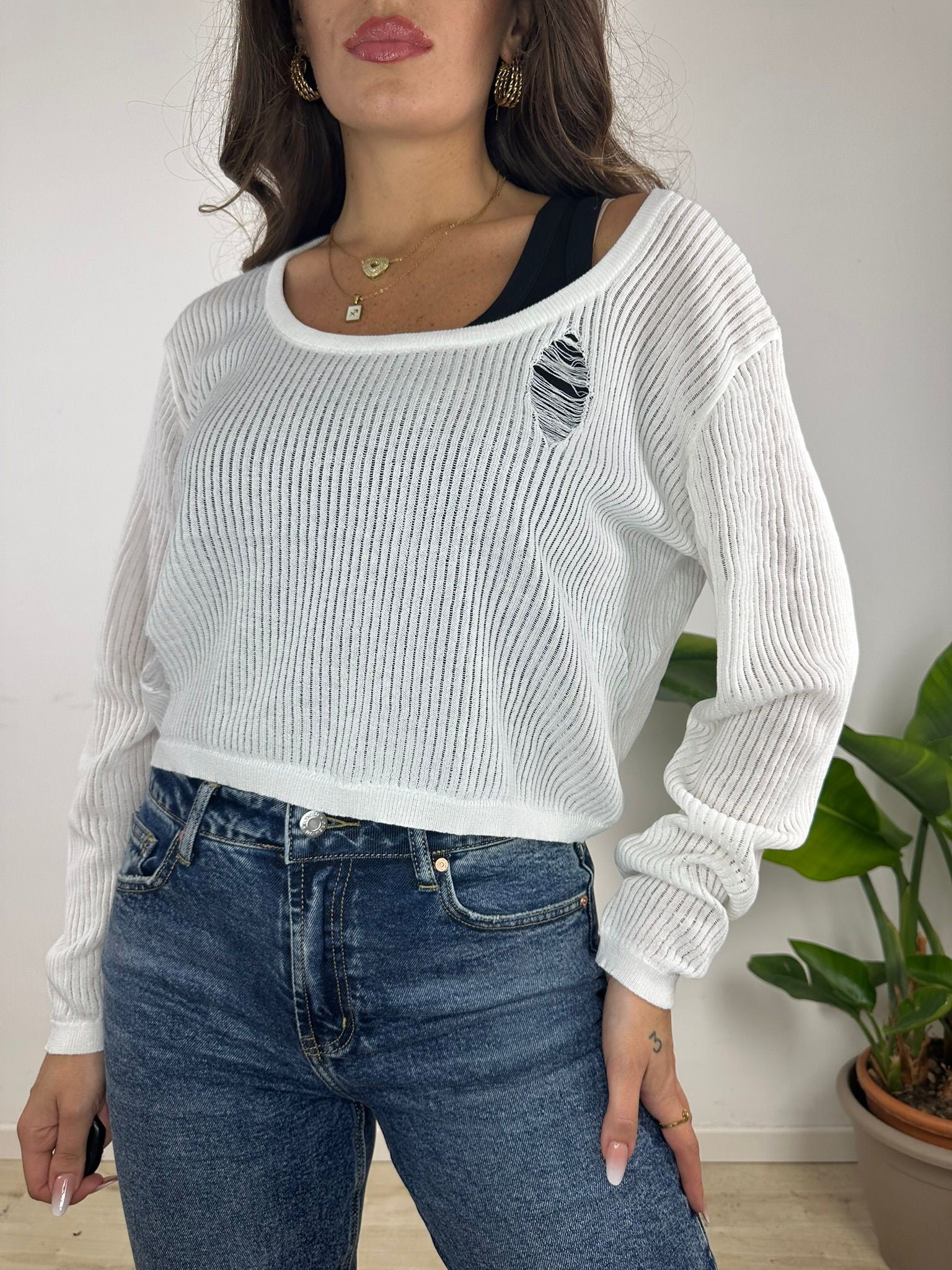 SET: CANOTTA + PULL BIANCO